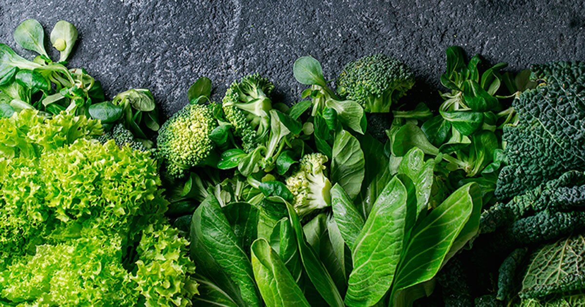How Chlorophyll Protects Cells